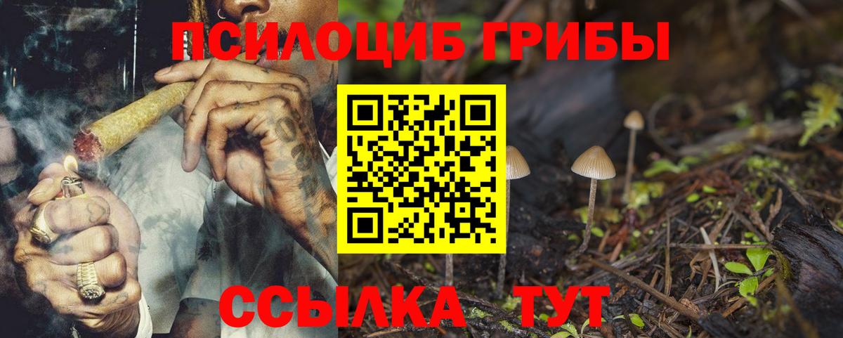 Ижевск  Псилоцибиновые грибы ЛСД  Вход с VPN  Галлюциногенные грибы Psilocybe 